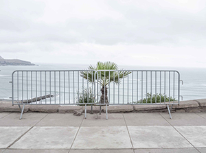 Imagen 8